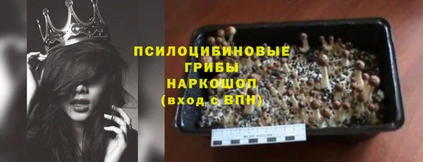 МДПВ Алексеевка