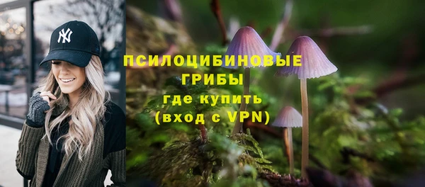 МДПВ Алексеевка